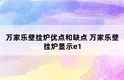 万家乐壁挂炉优点和缺点 万家乐壁挂炉显示e1